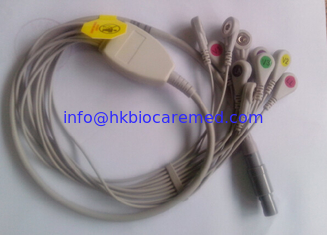 Porcelana Cable de Holter de la ventaja del Biomedical 10, extremo rápido, IEC proveedor