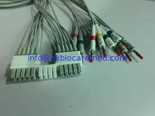 Porcelana Leadwires compatibles del cable 10 del ECG de Mortara para Mortara WAM, extremo del plátano proveedor
