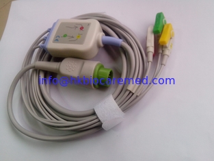 Porcelana Las series compatibles 3 de Biolight A llevan el cable de ECG con el extremo del clip, IEC, proveedor