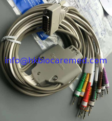 Porcelana Cable de la ventaja ECG de la original 10 para Nihon Kohden. BJ-961D proveedor
